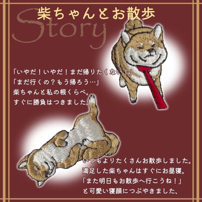 おはなし靴下 ギフトボックス 柴犬 レディース グレー