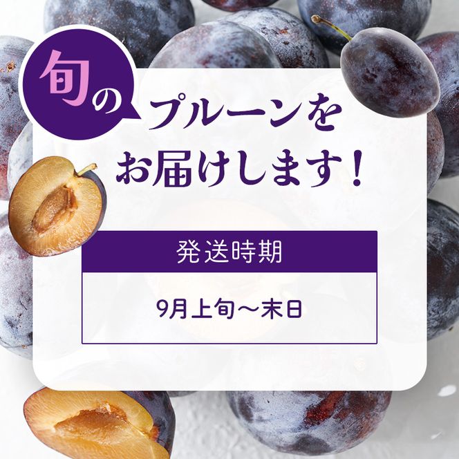 [先行受付]【9月発送】北海道 仁木町産 おすすめ プルーン 800g（400g×2パック） 果物類 果物 くだもの フルーツ 果物詰合せ [和田農園]