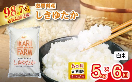 【新米】令和8年産　すっごいもちもち「しきゆたか」白米定期便　6カ月で5kgを6回お届け（1カ月に1回）【C013W2】（滋賀県　近江八幡市）