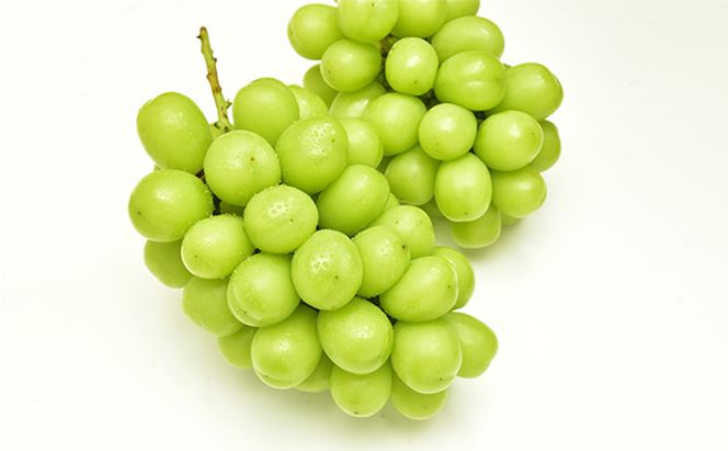 もも ぶどう 2026年 先行予約 詰合/白桃 2玉(1玉220g以上)・シャインマスカット 晴王  2房(1房480g以上) 化粧箱入り 岡山県産 国産 フルーツ 果物 ギフト