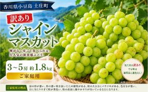 訳あり シャインマスカット  3～5房 約1.8kg マスカット フルーツ 果物 香川県 土庄町