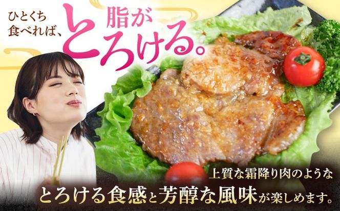 yꌧszꌧYؓ [XXЂ 7pbN (v950g) ؓ [X ^pbN  Ⓚ Y s / {ӂ[[BCAJ010]