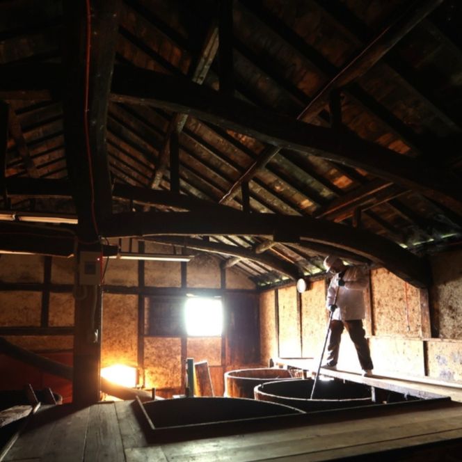 はさめずこいいろ6本セット【hkst0003】