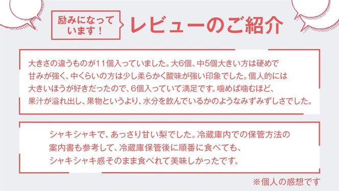 梨 新高 5kg（10〜14個）【10月より発送開始】（茨城県共通返礼品：石岡市産）田舎の頑固おやじが厳選！ なし 新高梨 和梨 フルーツ 果物 くだもの 高糖度 ギフト 茨城 [BI306-NT]