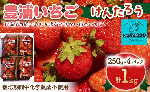 [2025.4月下旬以降出荷]豊浦いちご 250g×4パック[ ふるさと納税 人気 おすすめ ランキング 果物 いちごイチゴ 苺 大玉 大粒 けんたろう おいしい 美味しい 農園直送 採れたて 新鮮 産直 苺 ストロベリー 北海道 豊浦町 送料無料 ] TY