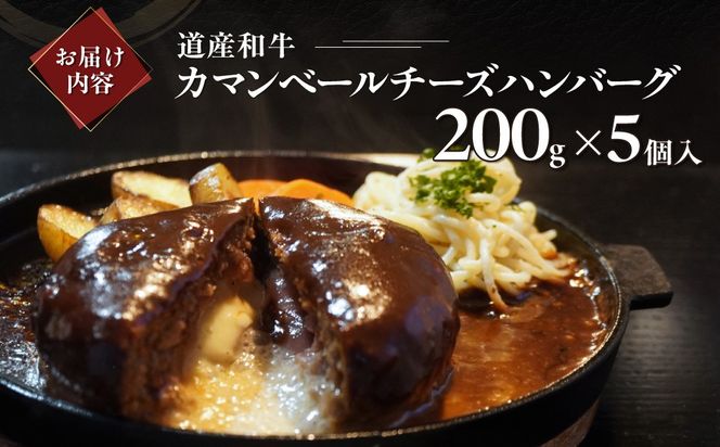 道産和牛カマンベールチーズハンバーグ（200g）5個入り MROA049