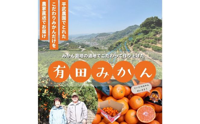 農家直送！きよみオレンジ 3kg ≪秀品≫［平武農園］～蛍飛ぶ町から旬の便り～［2026年3月下旬から順次発送予定］ BX80
