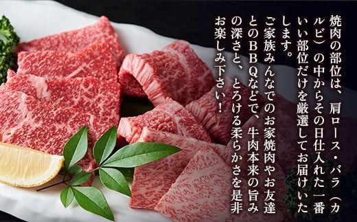 訳あり 【A4～A5】博多和牛 焼肉 切り落とし 肩ロース バラ 500g 2p 計1kg [MEAT PLUS 福岡県 宇美町 um40azp010030] 牛肉 肉 和牛 肩肉 バラ肉 焼き肉