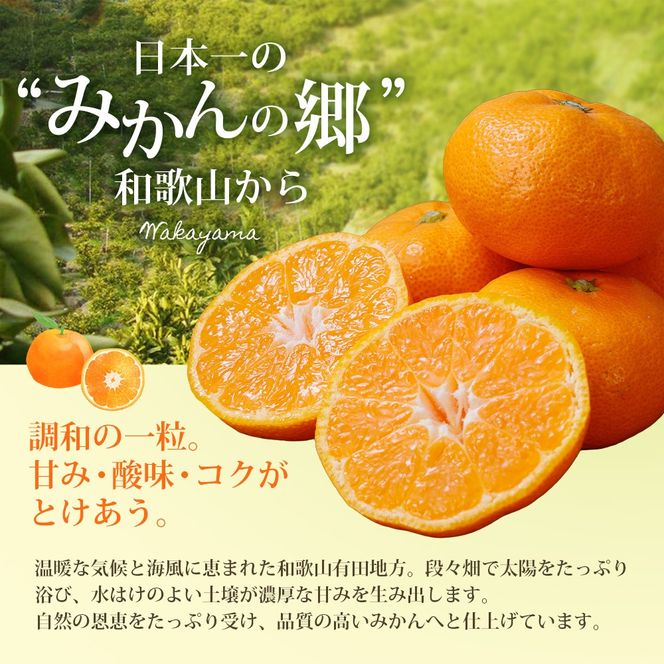 訳あり 有田みかん 約10kg ご家庭用 和歌山県 ごだわり有田みかん ※2026年11月～2027年1月に順次発送予定 【nuk138H】