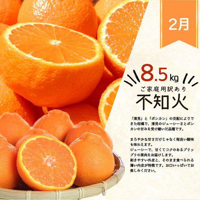 〈定期便〉【1・2・3月 全3回】紀州和歌山産旬のご家庭用柑橘セット(みかん・不知火・レモン)　※離島への配送不可