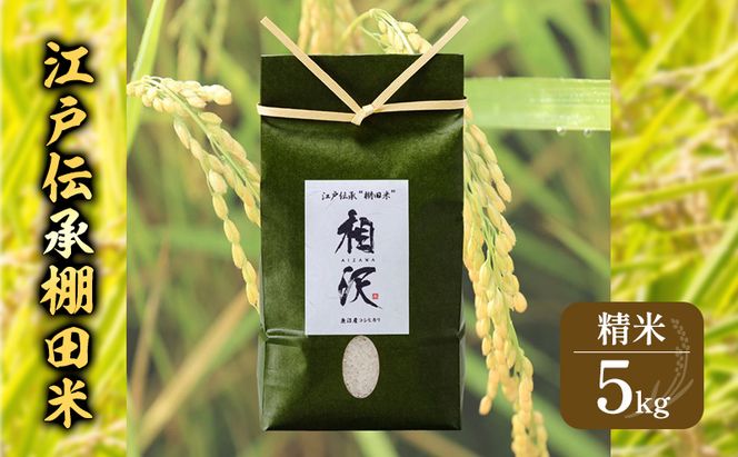 【令和8年産 先行予約】江戸伝承棚田米5kg お米 コメ