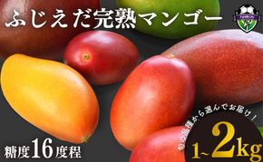 【選べる容量】完熟マンゴー 1～2kg 糖度約16度程 厳選 フルーツ 果物 国産 数量限定 マンゴー トロピカル フルーツ アーウィン マハチャノック ナンドクマイ 紅キンコウ キーツ 静岡県 藤枝市 
