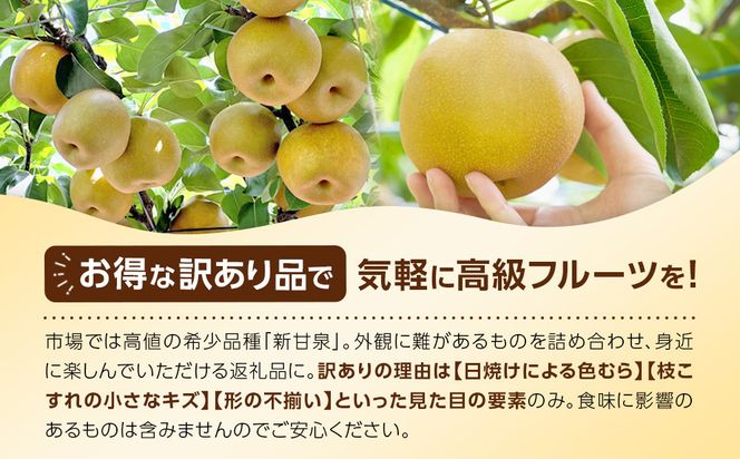 1257.【2026年度発送先行予約】訳あり　新甘泉　5kg 313726_CS003