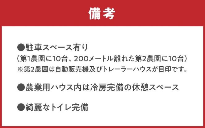 ブルーベリー狩り チケット 大人1人分 80分間食べ放題 ブルベリー 体験 チケット 愛西市 / あいさいベリーLABO[AEBZ007]