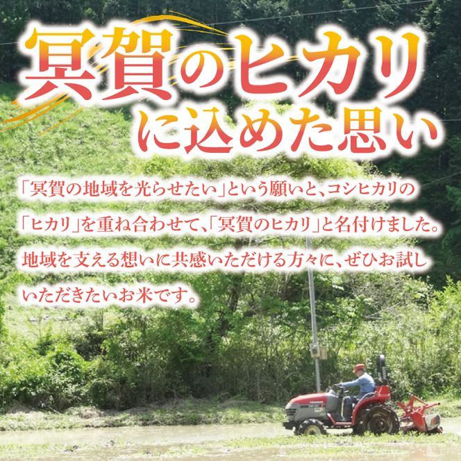 令和7年産「冥賀のヒカリ」コシヒカリ（白米）10kg｜茨城県 大子町 奥久慈 米 精米 ご飯 数量限定(DA002)