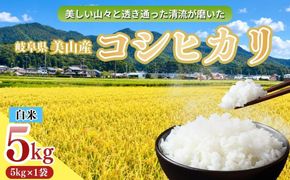 岐阜県美山産コシヒカリ 令和8年産 新米 5kg| 令和8年 米 精米 白米 お米 コシヒカリ こしひかり ツヤ 粘り 甘み ヤマガタ農産 ※2026年11月～発送