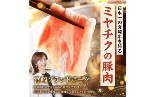 ※発送時期・内容量が選べる※宮崎県産豚バラスライス 【 豚肉 豚 肉 国産 うす切り スライス 】 [C00686 C00687]