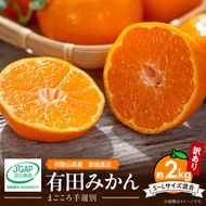 【2026年先行予約】【家庭用】和歌山県産　有田みかん 約2kg (S～Lサイズ混合)【まごころ手選別】_ZE6517