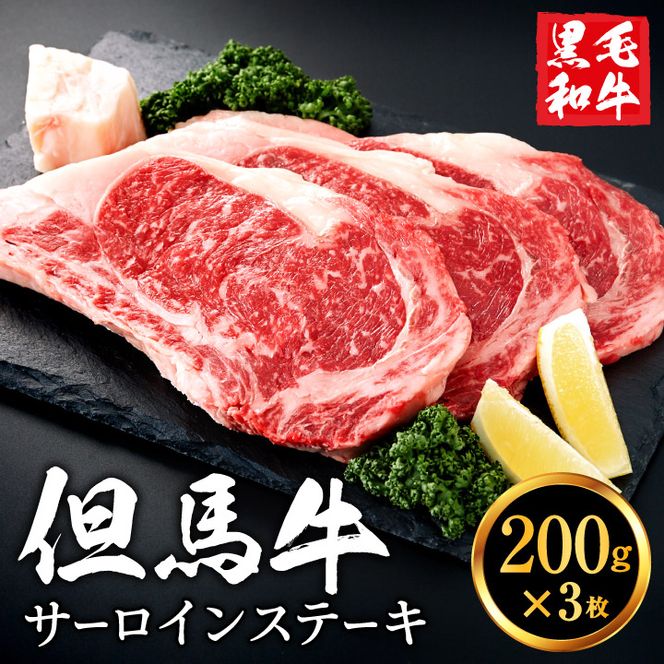 但馬牛経産牛「サーロインステーキ」200ｇ×3枚 020AA02N.／黒毛和牛 ステーキ肉 いちかわ精肉店 経産牛 牛肉 国産 bbq バーベキュー 焼肉 ステーキ サーロイン 赤身 肉 冷凍 焼き肉用 