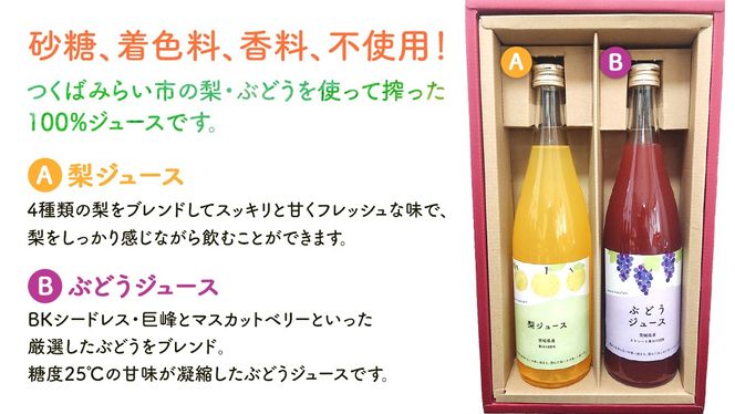 地元農家が作る つくばみらい市産 梨 を使った 梨ジュース・ぶどうジュース 720ml 2本セット 果汁100％ 朝食 飲み物 飲料 果実飲料 フルーツ 果物 ドリンク やわら飯塚農園