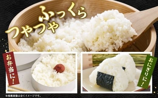【令和8年産】 夢つくし 香春町産 わぎえ米 10kg 【2026年9月上旬より順次発送】 お米 米 白米 ごはん ご飯 おにぎり 国産 福岡県産 福岡県 香春町