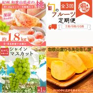 〈定期便〉【7・9・10月 全3回】紀州和歌山産旬のフルーツセット(桃・シャインマスカット・ひらたねなし柿) ※離島への配送不可