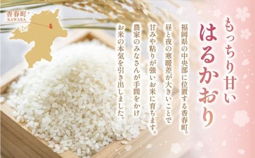 【1ヶ月毎2回定期便】 はるかおり 10kg 計20kg ／ 米 コメ お米 ライス ご飯 ごはん 飯 食品 精米 定期便 常温 福岡県 香春町