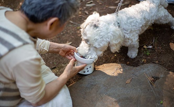 【6ヵ月定期便】オーガニック鹿肉ペットフード（犬用）ドライタイプ1kg エサ 