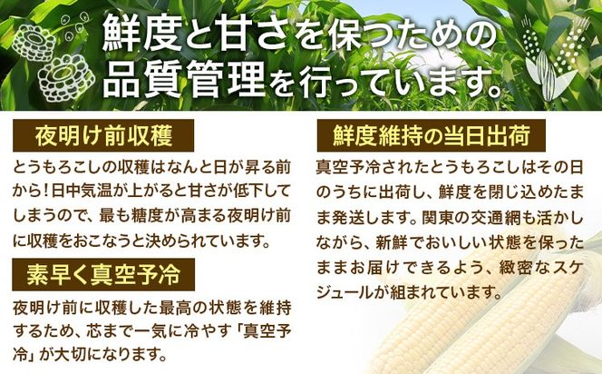 新登場★ トウモロコシ 味来 【収穫後当日出荷！】 夏祭り 選べる 約5kg 約10kg 13本前後 26本前後 《6月中旬-7月中旬頃出荷予定》 茨城県 結城市 野菜 甘味が強い 柔らかい ジューシー フルーティー 夏野菜 コーン【配送不可地域あり】(北海道・沖縄・離島)---yuki_local_759_5kg---