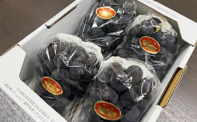 ぶどう 2026年 先行予約 ニューピオーネ 4房(1房480g以上) ブドウ 葡萄 岡山県産 国産 フルーツ 果物 ギフト [№5735-2044]