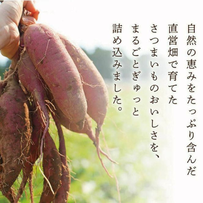 らぽっぽ 甘熟おいものチーズケーキ(4個入り)｜芋 お芋 さつまいも サツマイモ チーズケーキ スイーツ デザート スイートポテト 濃厚 ご褒美 おやつ らぽっぽファーム らぽっぽ 茨城県 行方市(CQ-95)