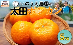 【先行予約】いのうえ農園の太田ポンカン 5kg ※離島への配送不可 （2027年1月上旬より順次発送） IKTAI003