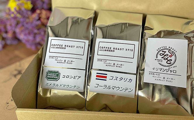 コーヒー マウンテン 3種セット エメラルド コーラル キリマンジャロ 600g (200g×3袋) COFFEE ROAST 3710みなと 珈琲焙煎所 コーヒー豆 ブレンド コーヒー 珈琲 飲み物 飲料 ブレンドコーヒー