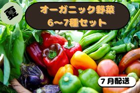 【先行予約：7月配送】＜てんとうむしばたけ＞夏のオーガニック野菜セット　有機野菜6～7種前後　BR00057_07