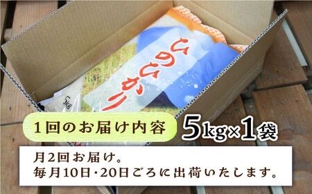 【月2回お届け】【全12回定期便】糸島産 ひのひかり 5kg 6ヶ月コース 糸島市 / 三島商店 [AIM029] 米 白米