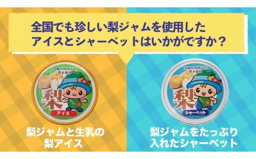 梨 アイス ＆ 梨 シャーベット セット 豊水 食べ比べ [BW067ci]