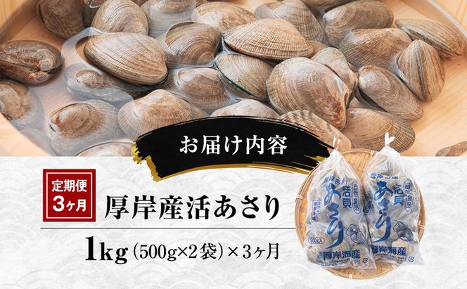 3カ月 定期便 北海道 厚岸産 訳あり 活あさり 500g×2(各月1kg、合計3kg) アサリ 貝類 海産物 旨み 砂出し済み 厚岸産あさり 