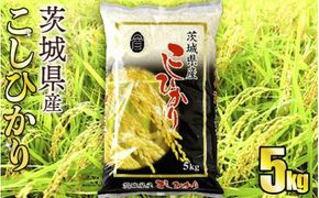 令和8年産 茨城コシヒカリ 5kg（5kg×1袋）【お米・コシヒカリ・米・5kg】