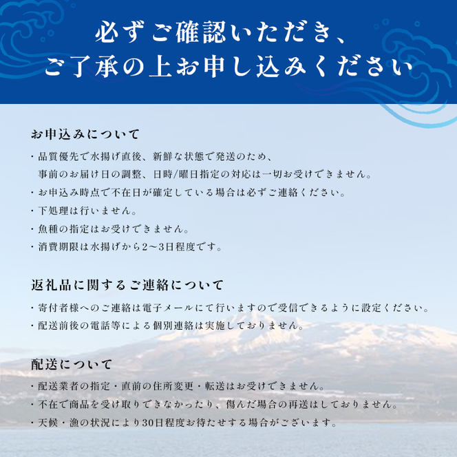 にかほ市の漁師厳選！秋田沖の旬のお魚パック！（Lサイズ・3～4人前） 魚介類 直送 新鮮 詰め合わせ 