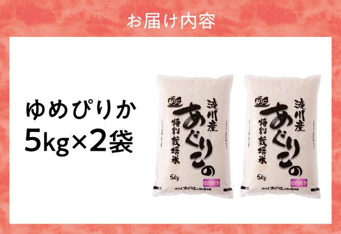 《令和7年産》特別栽培米ゆめぴりか 10kg | 16年連続特A ブランド米 白米 精米 米 お米 こめ 減農薬 単一原料米 ご飯 贈答 ギフト 北海道米 北海道 滝川市
