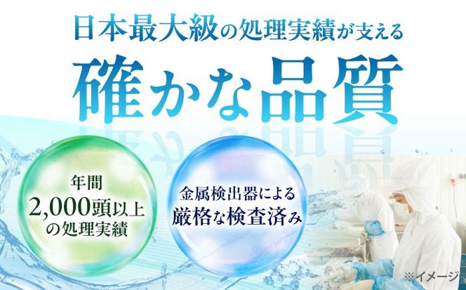 猪肉 ミンチ 2kg 雲仙いのしし / ひき肉 肉 イノシシ ジビエ いのしし ハンバーグ / 南島原市 / 株式会社高田牧場[SDB013]