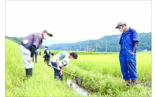 龍谷大学と共同開発／2026年産　京丹後産生物多様性米コシヒカリ「ゲンゴロウ郷の米」10kg箱入　CM00008