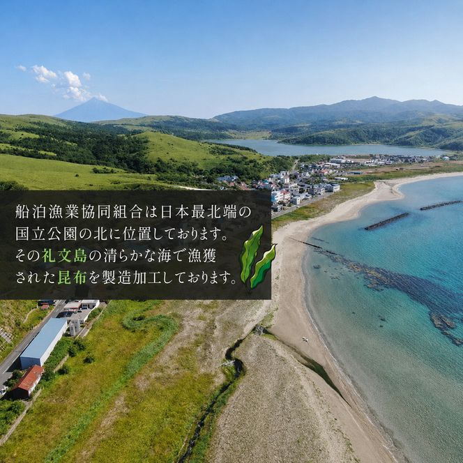 北海道 礼文島産 豊かな香り とろろ昆布 1kg［船泊漁業協同組合］【 昆布 とろろ昆布 こんぶ 海藻 味噌汁 うどん そば トッピング おにぎり 業務用 大容量 】