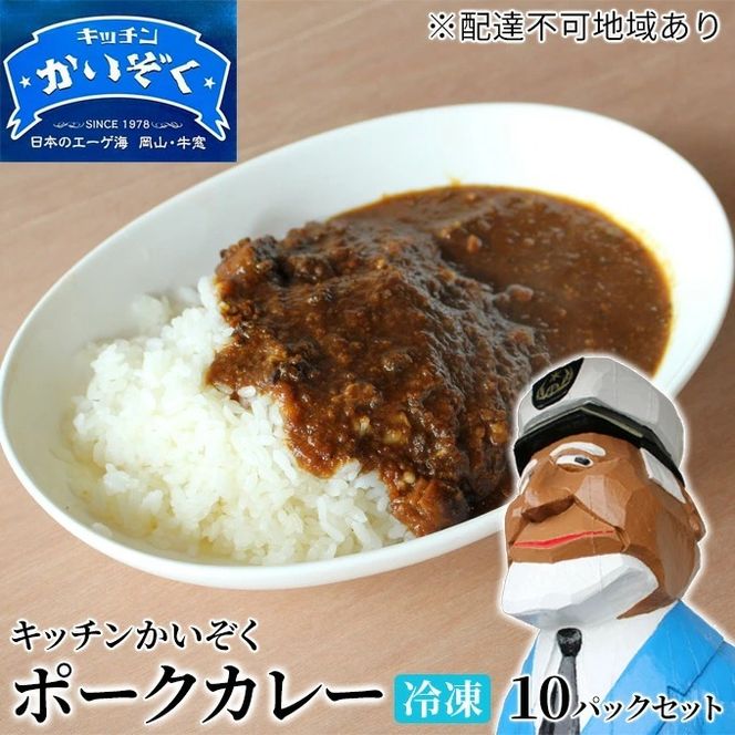 冷凍 ポーク カレー 10パック セット キッチンかいぞく 岡山 B級グルメ