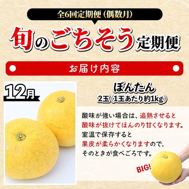 ＜定期便・全6回(偶数月)＞阿久根旬のごちそう定期便(ぼんたん・露地不知火・そら豆・南国グリーンメロン・大玉スイカ・伊勢海老) 国産 フルーツ 果物 柑橘 野菜 豆類 魚介 ボンタン 文旦 そらまめ すいか えび エビ 季節 訳あり 【松永青果】akn053-50