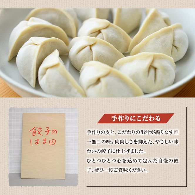 ＼テレビで紹介されました！／お出汁滲み出る和餃子(計48個・12個入り×4袋) 餃子 生餃子 ギョウザ ぎょうざ ギョーザ セット 詰め合わせ おかず お惣菜 冷凍 和風 水餃子【餃子のはま田】akn096-01