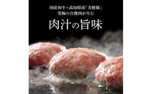 CDM008　 生姜好きにオススメ！老舗レストランの国産牛と美鮮豚ハンバーグ120g×2ケ＋黄金しょうがソース×1袋 ハンバーグ セット 牛肉 豚肉 和牛 美味しい おいしい 小分けパック 個包装 冷凍 食品 故郷納税 返礼品 