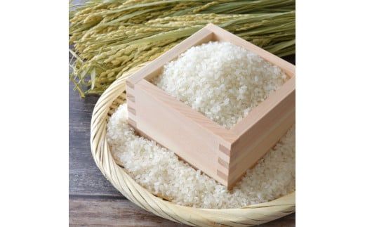 【CF-R7hbk】先行予約 令和7年産 無洗米コシヒカリ10キロ 5kg×2 10kg 米 白米 精米 新米 むせんまい こしひかり コシヒカリ ブランド米 おこめ こめ 飯 ご飯 ごはん おにぎり おいしい 人気 ギフト