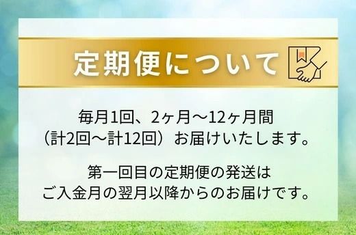 【定期便6ヶ月】静岡県産 緑茶 500ml×48本 ｜ ラベルレス ペットボトル お茶 飲料 ※沖縄・離島への配送不可