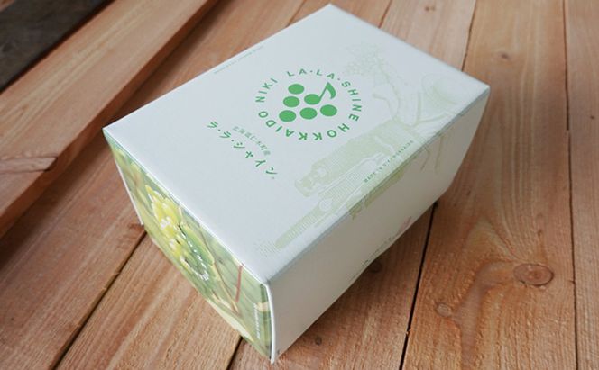 [先行受付] JA新おたる シャインマスカット『LA・LA・SHINE（ラ・ラ・シャイン）』 1房 600g前後 果物 フルーツ ぶどう 旬の果物 産地直送 北海道産 仁木町産 化粧箱 [JA新おたる]